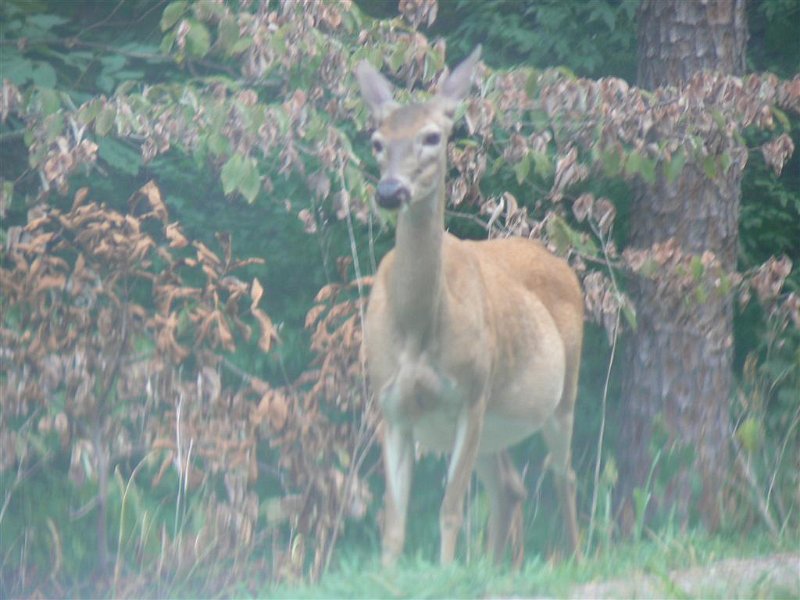 112-Along the road.JPG